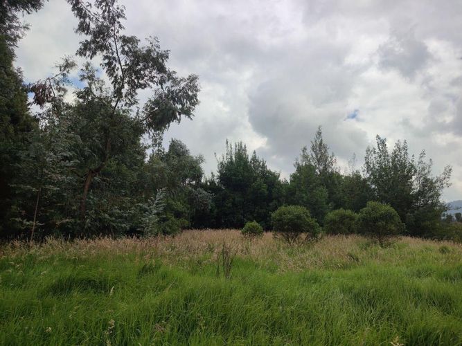 Finca en Venta en Tenjo - Miniatura 7