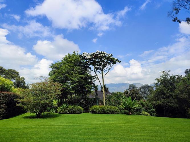 Finca en Venta en Tenjo - Miniatura 11