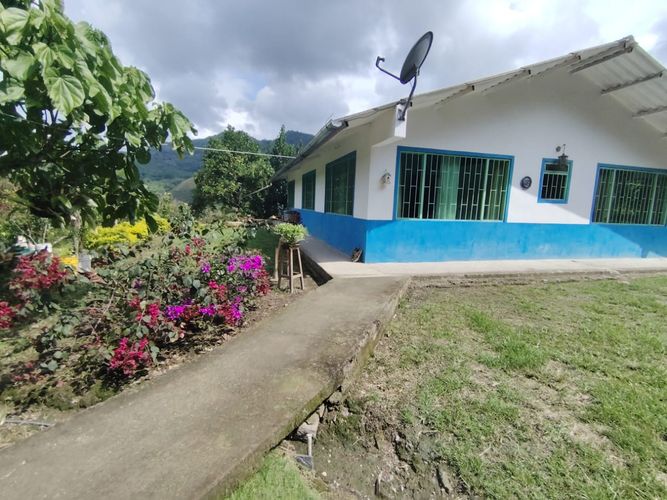 Finca en  Venta en Marcos tunja, Pacho - Miniatura 3