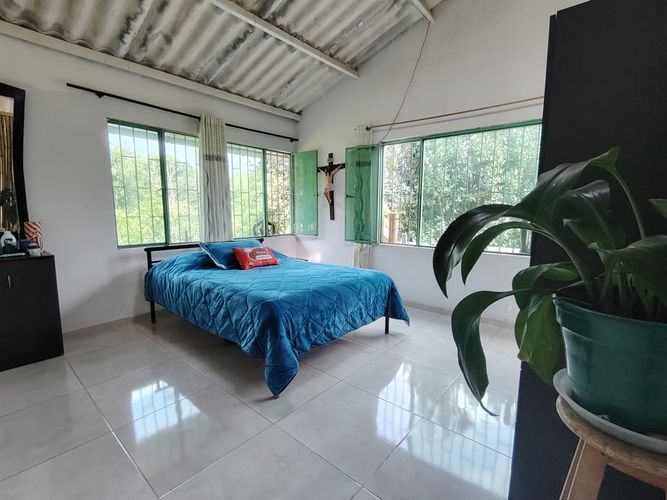 Finca en  Venta en Marcos tunja, Pacho - Miniatura 11