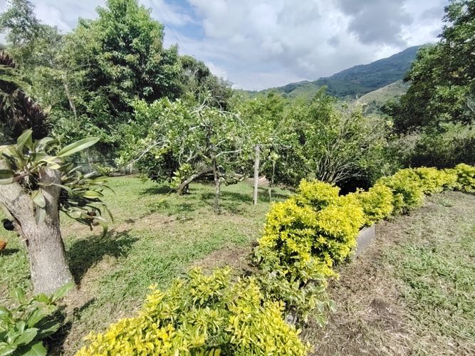 Finca en  Venta en Marcos tunja, Pacho - Miniatura 15