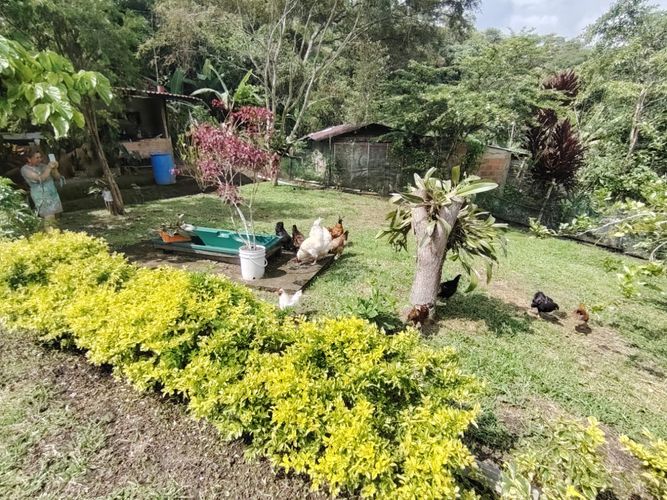 Finca en  Venta en Marcos tunja, Pacho - Miniatura 16