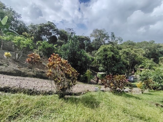 Finca en  Venta en Marcos tunja, Pacho - Miniatura 24