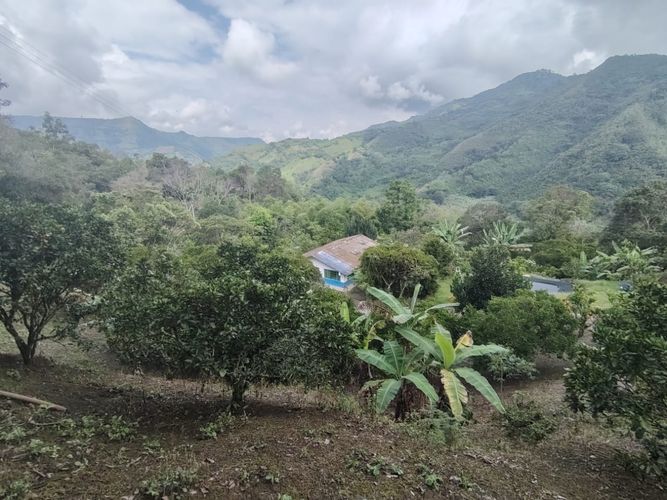 Finca en  Venta en Marcos tunja, Pacho - Miniatura 25