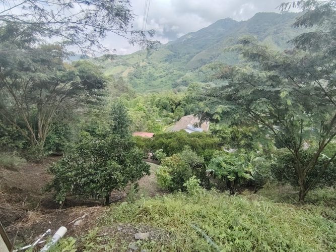Finca en  Venta en Marcos tunja, Pacho - Miniatura 30