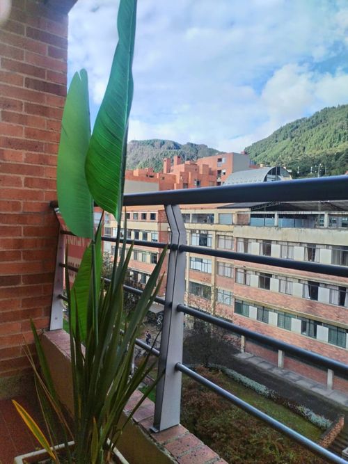 Apartaestudio en Arriendo en La macarena, Bogotá - Miniatura 17