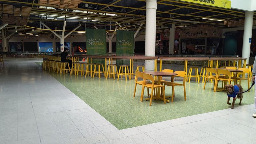 Local en  Arriendo en San andres de los altos, Bogotá - Miniatura 13