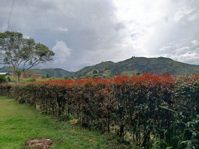 Finca en Arriendo en Guarne - Miniatura 3