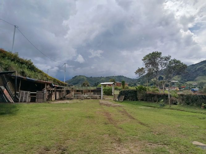 Finca en Arriendo en Guarne - Miniatura 16