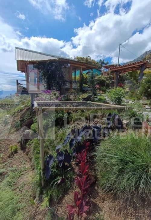 Finca en Venta en Montebello - Miniatura 12