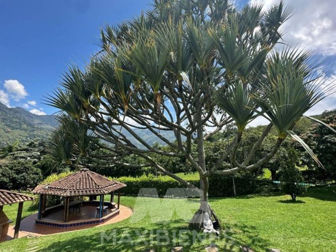 Finca en Arriendo en San juan de la tasajera, Copacabana - Miniatura 23