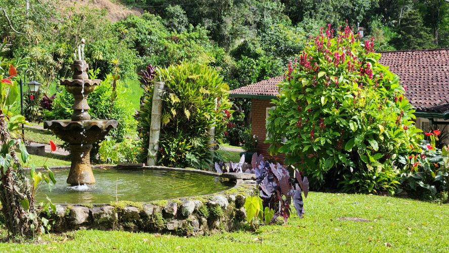 Finca en Venta en San juan, La vega - Miniatura 5