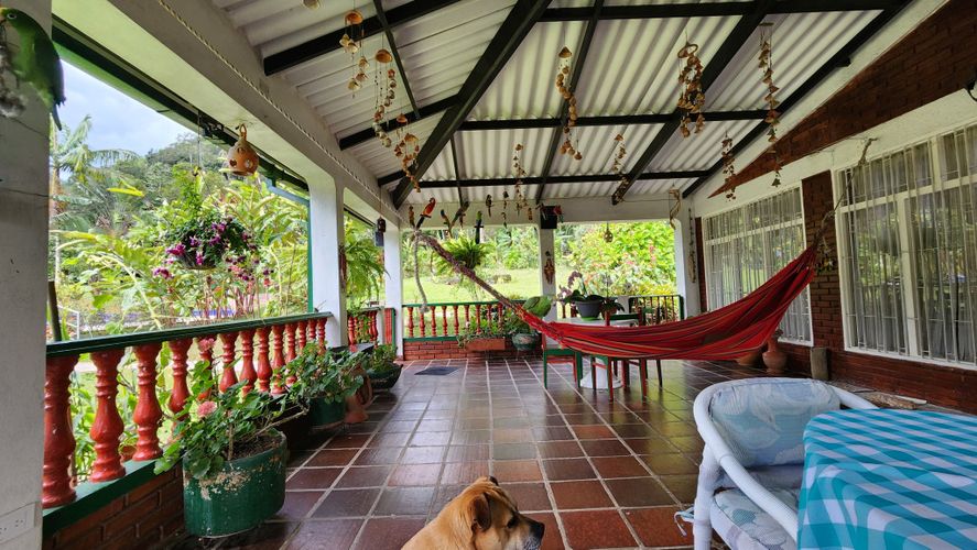Finca en Venta en San juan, La vega - Miniatura 6