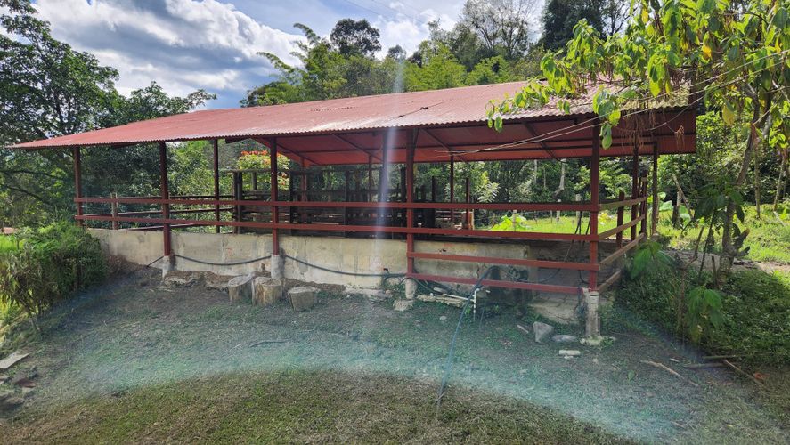 Finca en Venta en San juan, La vega - Miniatura 11