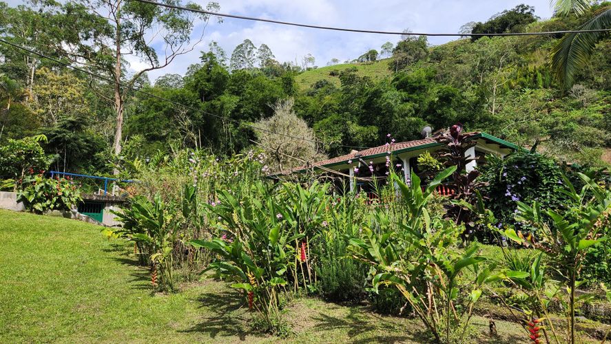 Finca en Venta en San juan, La vega - Miniatura 12
