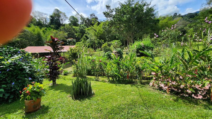 Finca en Venta en San juan, La vega - Miniatura 16