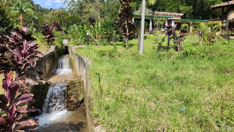 Finca en Venta en San juan, La vega - Miniatura 17