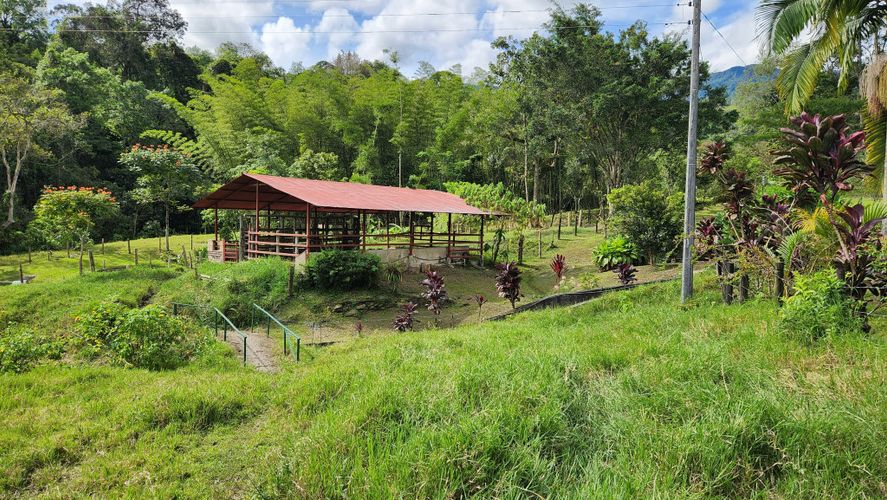 Finca en Venta en San juan, La vega - Miniatura 18