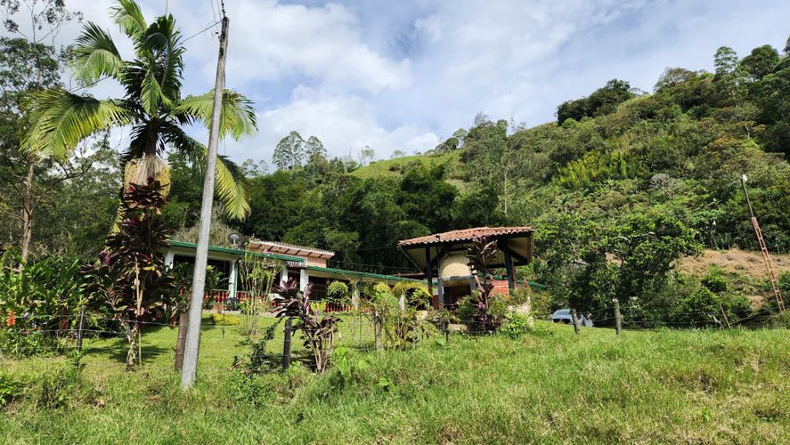 Finca en Venta en San juan, La vega - Miniatura 19