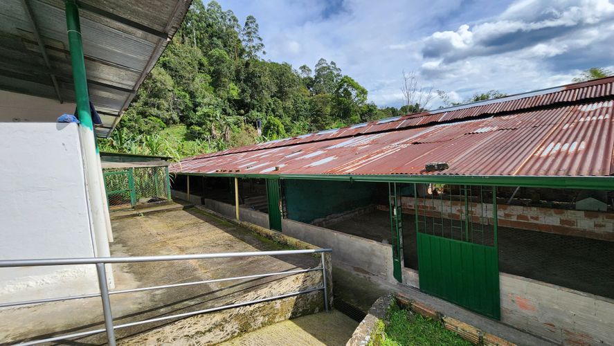 Finca en Venta en San juan, La vega - Miniatura 24
