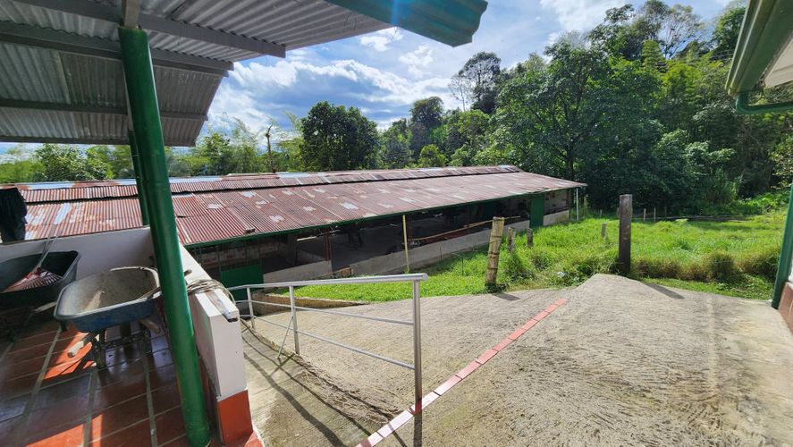 Finca en Venta en San juan, La vega - Miniatura 25