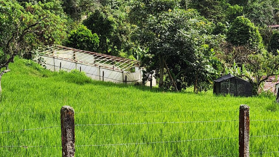 Finca en Venta en San juan, La vega - Miniatura 26