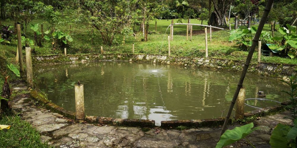 Finca en Venta en San juan, La vega - Miniatura 29