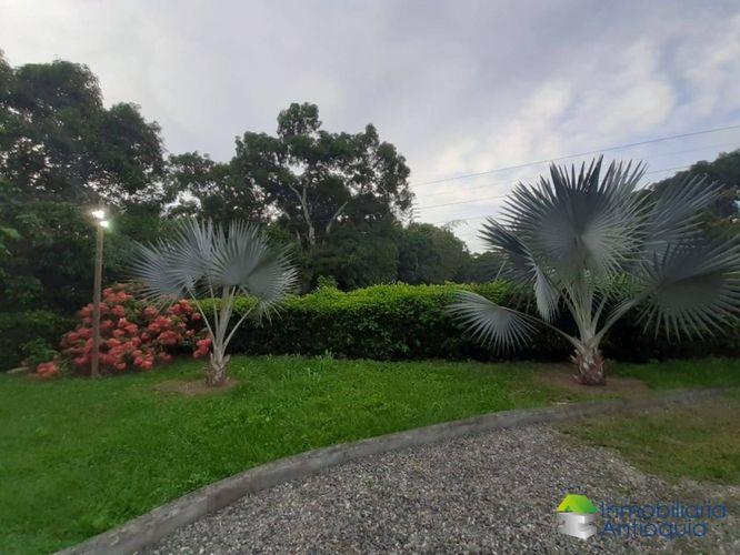 Finca en Venta en La aguada, Sopetran - Miniatura 5