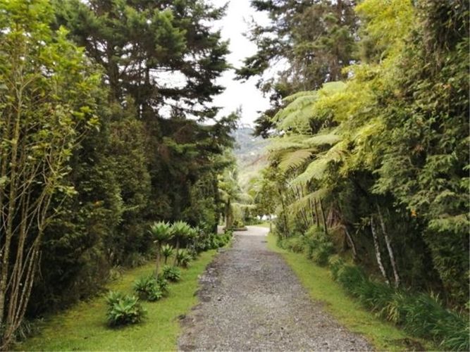 Finca en Venta en Alto de la virgen, Guarne - Miniatura 3