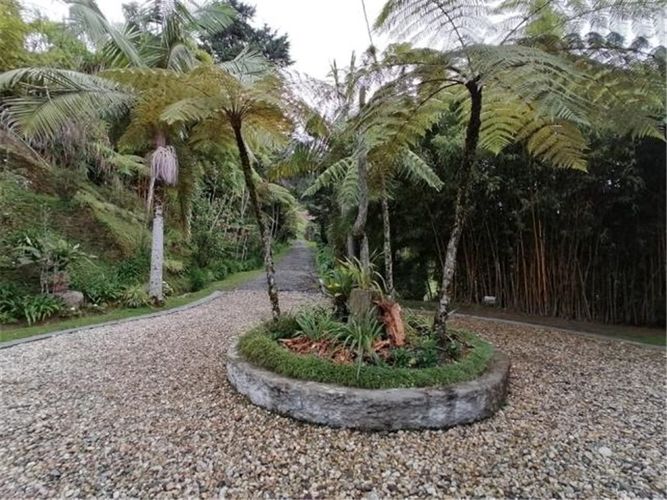 Finca en Venta en Alto de la virgen, Guarne - Miniatura 18