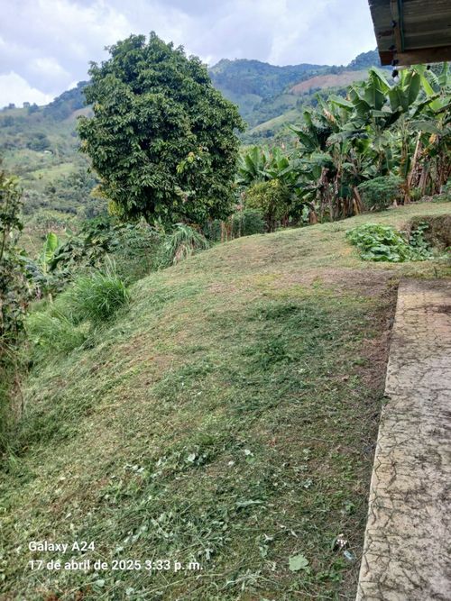 Finca en Venta en Buga - Miniatura 10