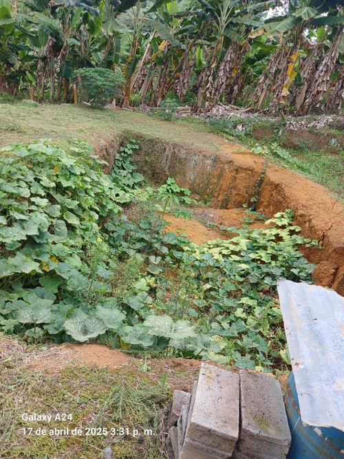 Finca en Venta en Buga - Miniatura 12