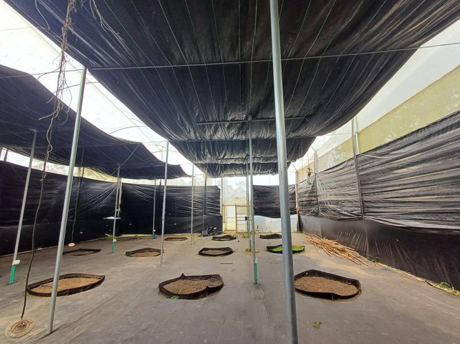 Finca en  Arriendo en El Tablazo, Rionegro - Miniatura 13