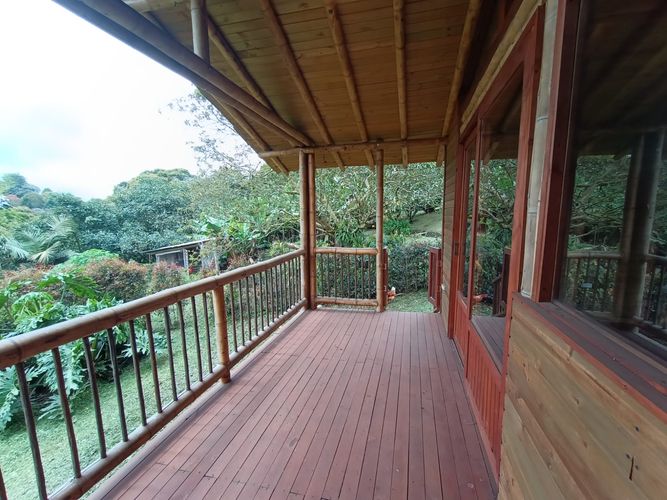 Finca en Arriendo en Samaria, El carmen de viboral - Miniatura 4