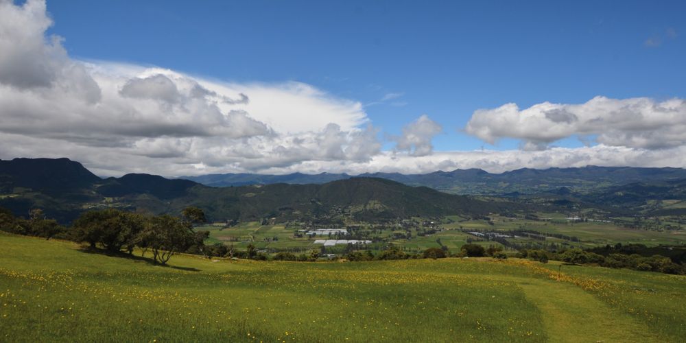 MONTEVIOLETA, Lotes en Venta en La violeta, Sopó - Miniatura 7