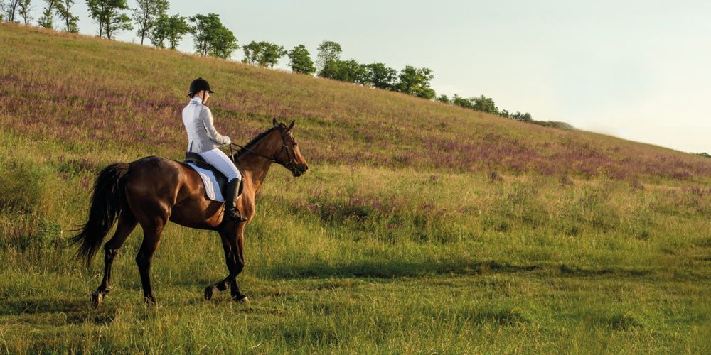 MONTEVIOLETA, Lotes en Venta en La violeta, Sopó - Miniatura 8