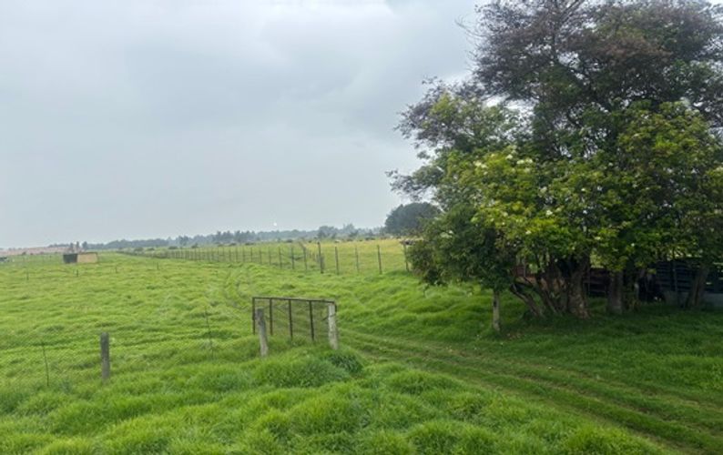 Finca en  Venta en Funza - Miniatura 4