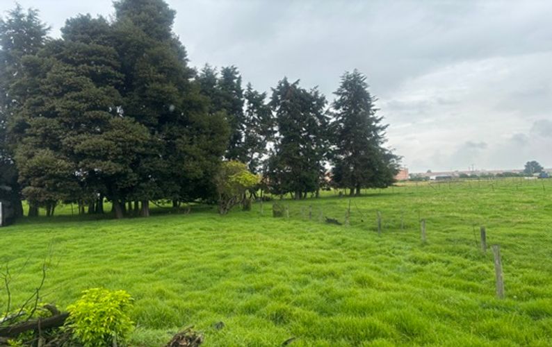 Finca en  Venta en Funza - Miniatura 13