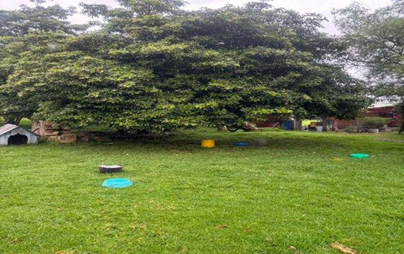 Finca en  Venta en Funza - Miniatura 14