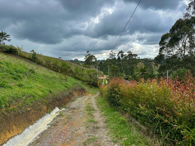 Casa en Arriendo en Chaparral, Guarne - Miniatura 12