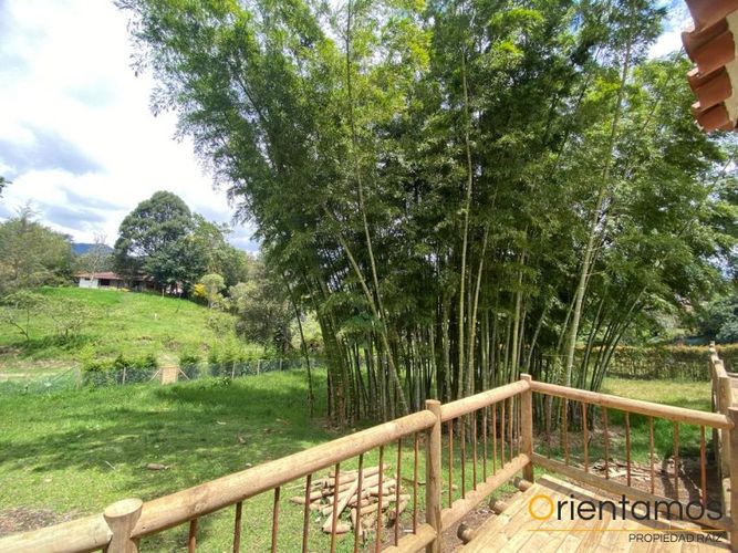 Finca en  Arriendo en La sonadora, El carmen de viboral - Miniatura 12