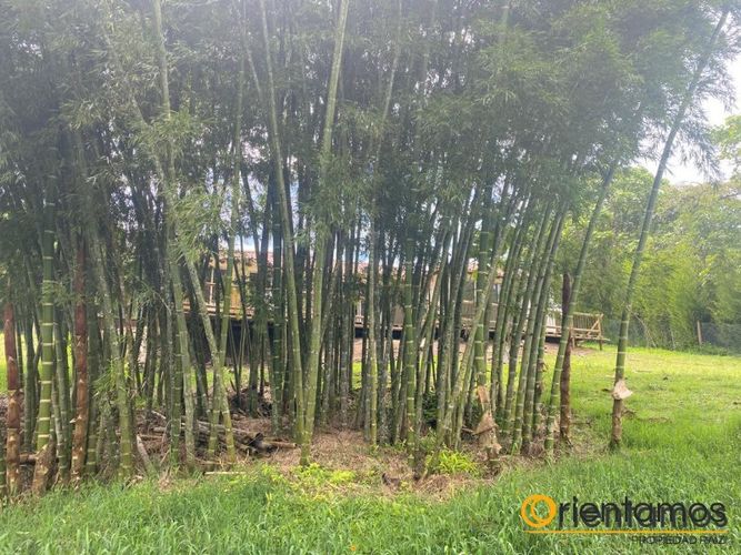 Finca en  Arriendo en La sonadora, El carmen de viboral - Miniatura 14