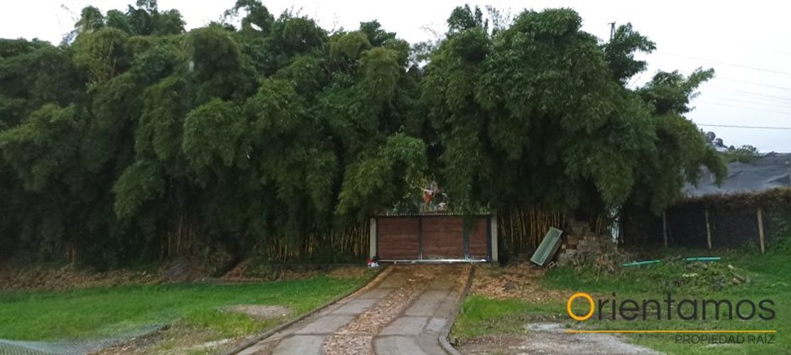 Finca en venta en La sonadora, El carmen de viboral - Miniatura 24