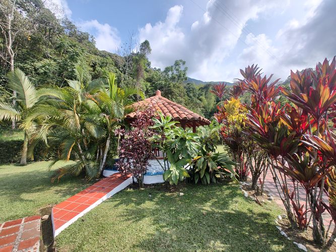 Finca en Arriendo en Cocorna - Miniatura 24