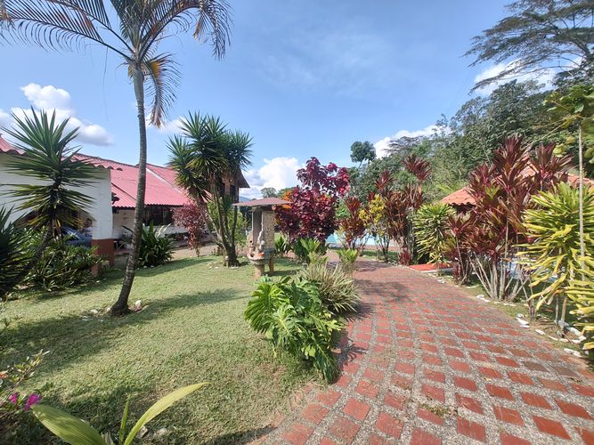 Finca en Arriendo en Cocorna - Miniatura 26