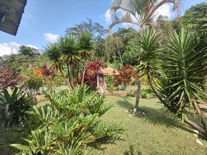 Finca en Arriendo en Cocorna - Miniatura 29