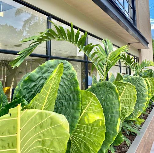 Apartaestudio en Venta en Pance, Cali - Miniatura 3