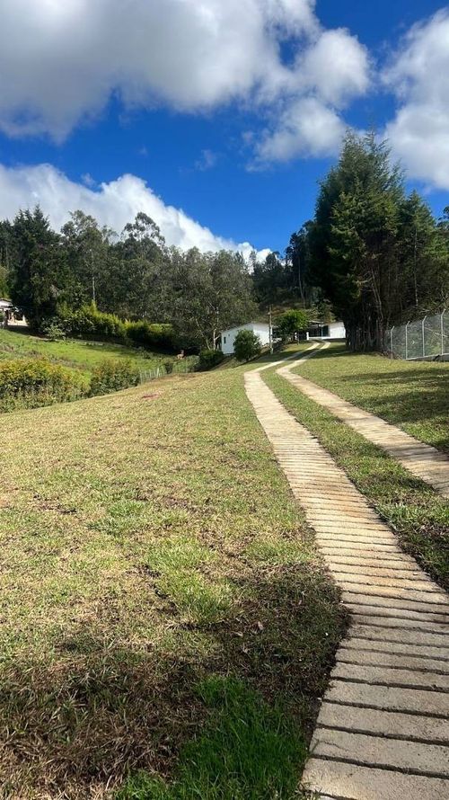 Finca en Arriendo en La clara, Guarne - Miniatura 20