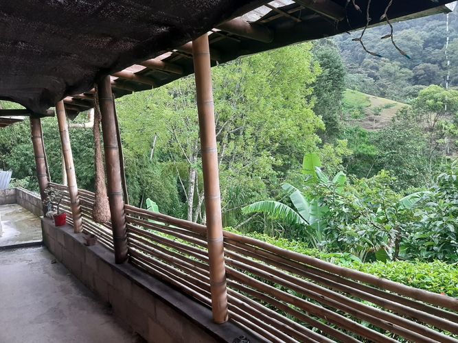 Finca en Arriendo en San jose, Sabaneta - Miniatura 2