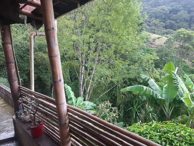 Finca en Arriendo en San jose, Sabaneta - Miniatura 5